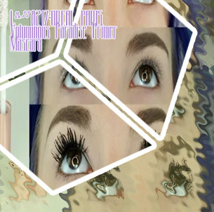 Paradise mascara primer