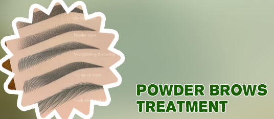 Powder brows cost